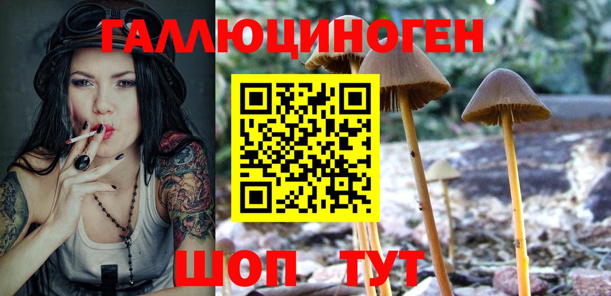 Еманжелинск  Галлюциногенные грибы Psilocybe  где продают   Вход с VPN 